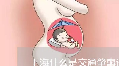 上海什么是交通肇事逃逸重伤/2023033185016