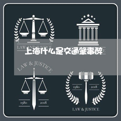 上海什么是交通肇事醉/2023021200493 上海什么是交通肇事醉/2023021200493