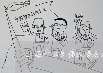 上海什么是债权债务打包/2023022881824 上海什么是债权债务打包/2023022881824