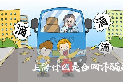 上海什么是合回诈骗罪/2023021241571 上海什么是合回诈骗罪/2023021241571