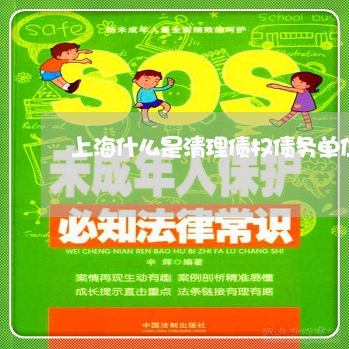 上海什么是清理债权债务单位/2023033159282