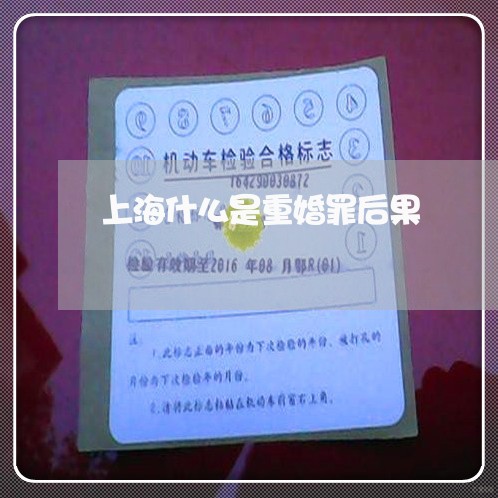 上海什么是重婚罪后果/2023021282472 上海什么是重婚罪后果/2023021282472