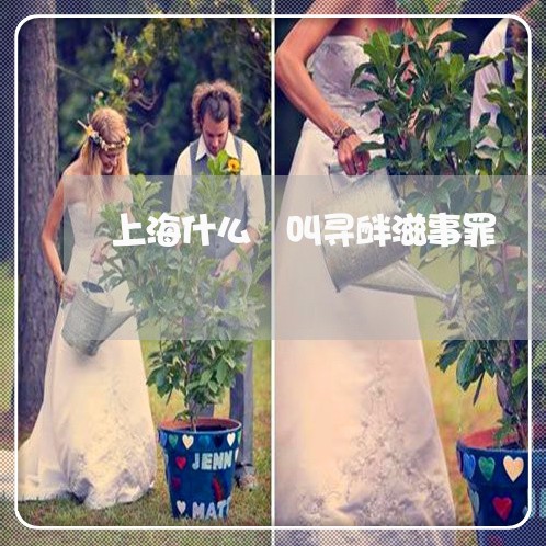 上海什么暃叫寻衅滋事罪/2023022895046