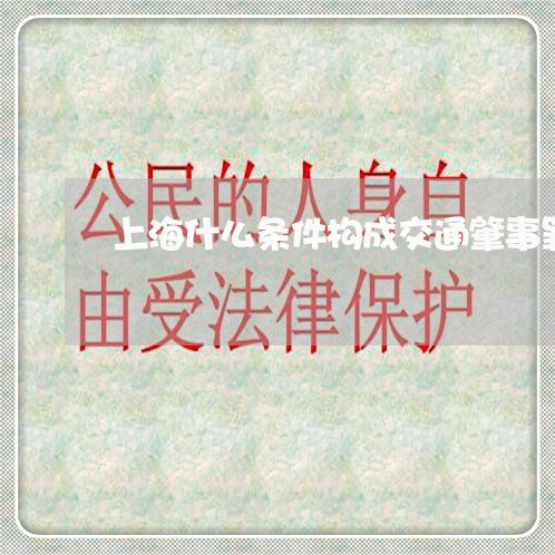 上海什么条件构成交通肇事罪/2023033027159 上海什么条件构成交通肇事罪/2023033027159