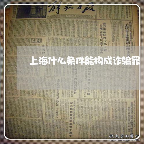 上海什么条件能构成诈骗罪/2023031722513