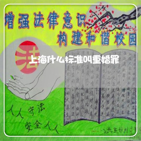 上海什么标准叫重婚罪/2023021263785 上海什么标准叫重婚罪/2023021263785