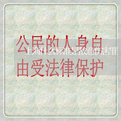 上海什么标准是故意伤害罪/2023031714028
