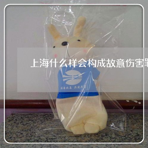 上海什么样会构成故意伤害罪/2023033052483 上海什么样会构成故意伤害罪/2023033052483