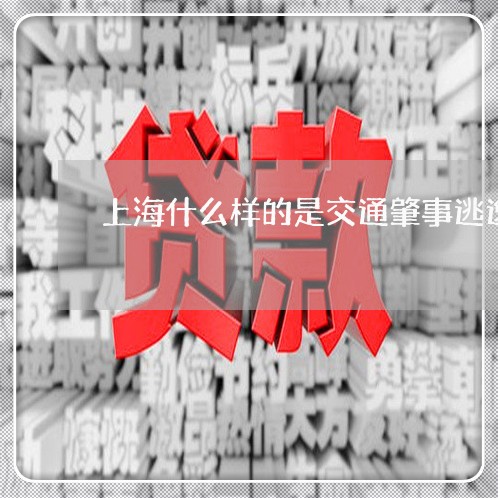 上海什么样的是交通肇事逃逸/2023033006926