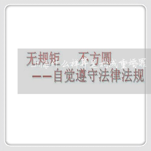 上海什么样算是构成重婚罪/2023031761462