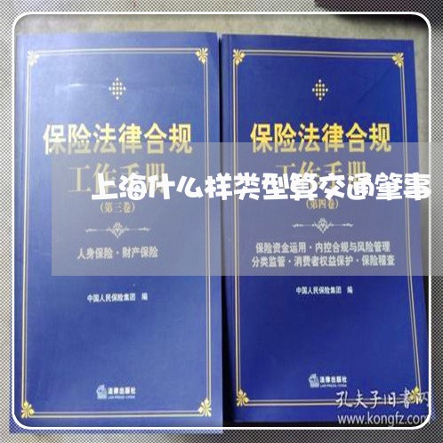 上海什么样类型算交通肇事/2023031798267 上海什么样类型算交通肇事/2023031798267