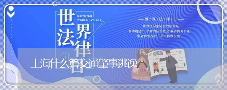 上海什么算交通肇事逃逸/2023022838060