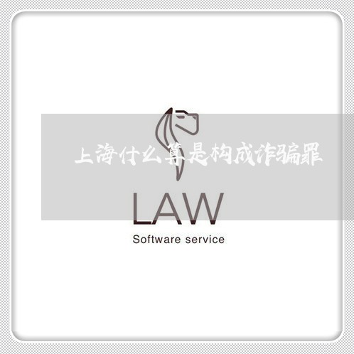 上海什么算是构成诈骗罪/2023022896058