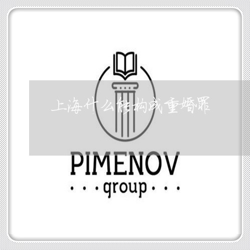 上海什么能构成重婚罪/2023021236047 上海什么能构成重婚罪/2023021236047