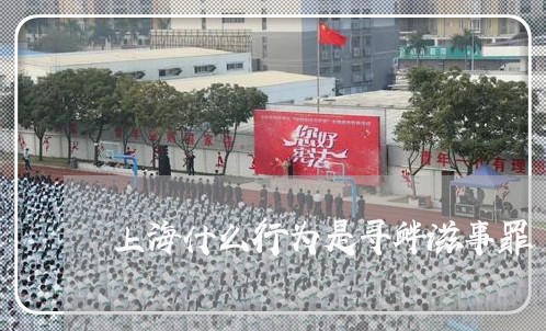 上海什么行为是寻衅滋事罪/2023031760683 上海什么行为是寻衅滋事罪/2023031760683