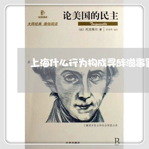 上海什么行为构成寻衅滋事罪/2023033086028