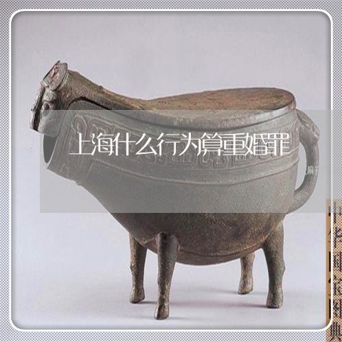 上海什么行为算重婚罪/2023021289462 上海什么行为算重婚罪/2023021289462
