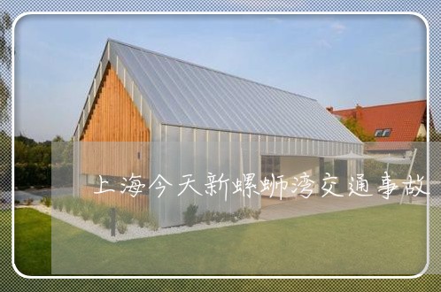 上海今天新螺蛳湾交通事故/2023031758472