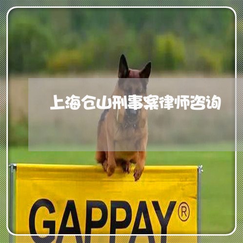 上海仓山刑事案律师咨询/2023022839403