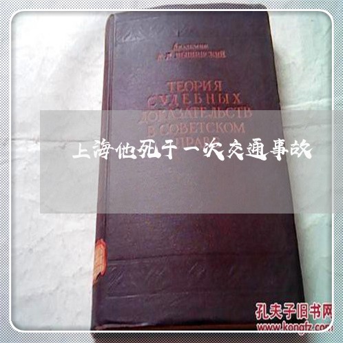 上海他死于一次交通事故/2023022872694 上海他死于一次交通事故/2023022872694