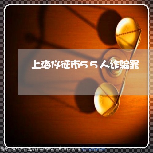 上海仪征市55人诈骗罪/2023022873636 上海仪征市55人诈骗罪/2023022873636
