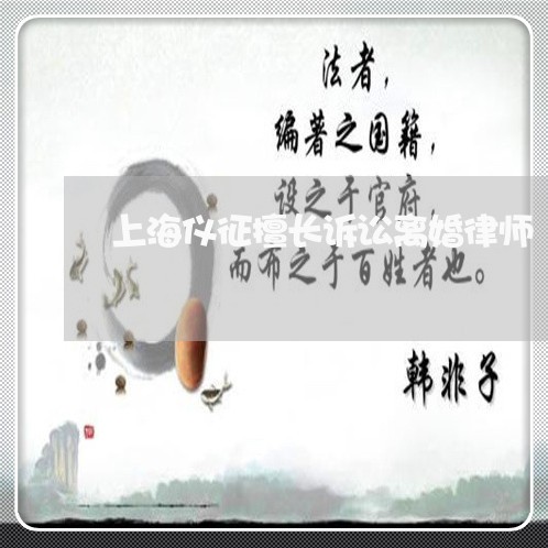 上海仪征擅长诉讼离婚律师/2023033024038