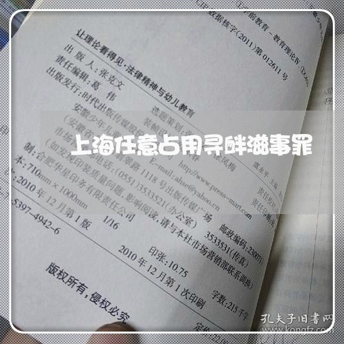 上海任意占用寻衅滋事罪/2023042283703