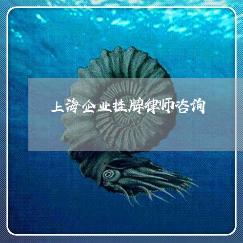 上海企业挂牌律师咨询/2023021260615 上海企业挂牌律师咨询/2023021260615