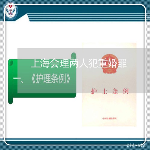 上海会理两人犯重婚罪/2023021219369 上海会理两人犯重婚罪/2023021219369