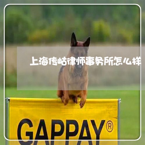上海传岵律师事务所怎么样/2023031717059 上海传岵律师事务所怎么样/2023031717059
