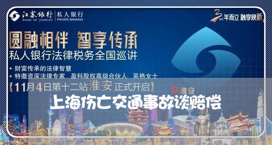 上海伤亡交通事故谈赔偿/2023022780483