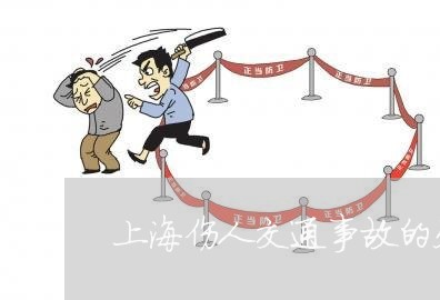 上海伤人交通事故的处理/2023022731472