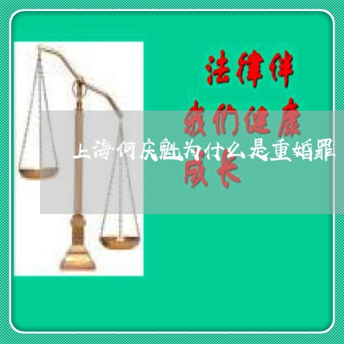 上海何庆魁为什么是重婚罪/2023031795059 上海何庆魁为什么是重婚罪/2023031795059