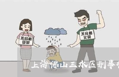 上海佛山三水区刑事律师/2023022771715