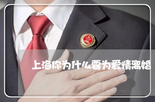 上海你为什么要为爱情离婚/2023033014607