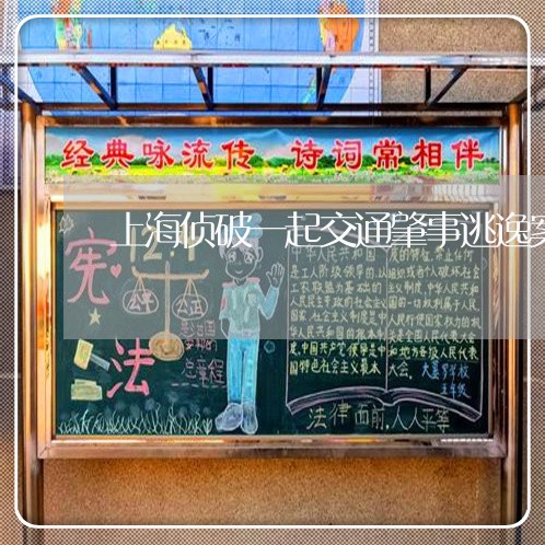 上海侦破一起交通肇事逃逸案/2023033174927 上海侦破一起交通肇事逃逸案/2023033174927