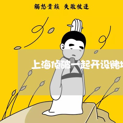 上海侦破一起开设赌场案件/2023031776050 上海侦破一起开设赌场案件/2023031776050