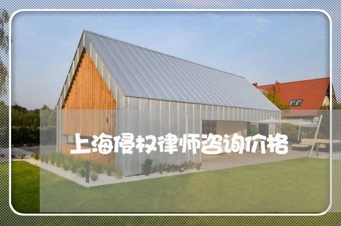 上海侵权律师咨询价格/2023021116159 上海侵权律师咨询价格/2023021116159