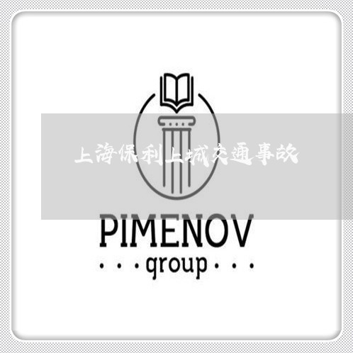 上海保利上城交通事故/2023021195059 上海保利上城交通事故/2023021195059