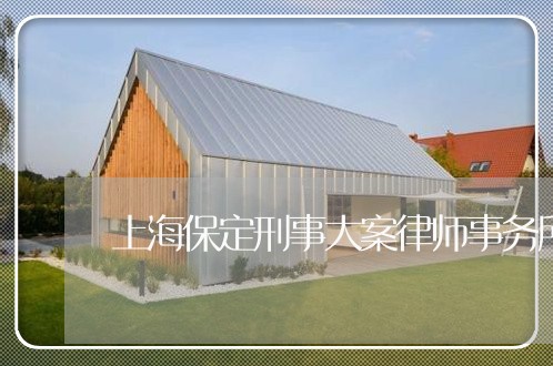 上海保定刑事大案律师事务所/2023033140481