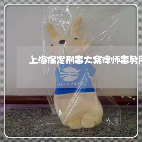 上海保定刑事大案律师事务所/2023033147959