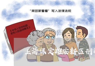 上海保定雄安新区刑事律师/2023033173724