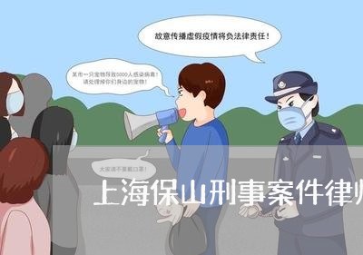 上海保山刑事案件律师案件/2023033158252 上海保山刑事案件律师案件/2023033158252