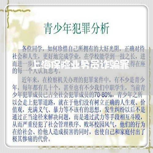 上海保险业务员诈骗罪/2023021293958 上海保险业务员诈骗罪/2023021293958