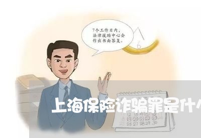 上海保险诈骗罪是什么犯/2023022605049
