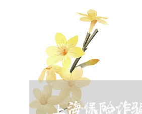 上海保险诈骗罪是指什么填空题/2023060369504