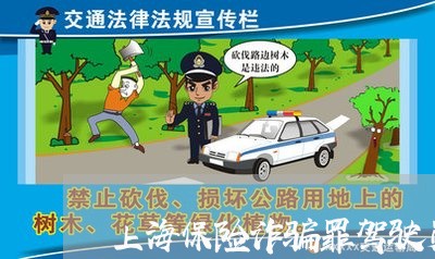 上海保险诈骗罪驾驶员调包/2023031548462