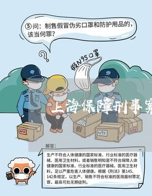 上海保障刑事案件辩护权/2023022618949 上海保障刑事案件辩护权/2023022618949