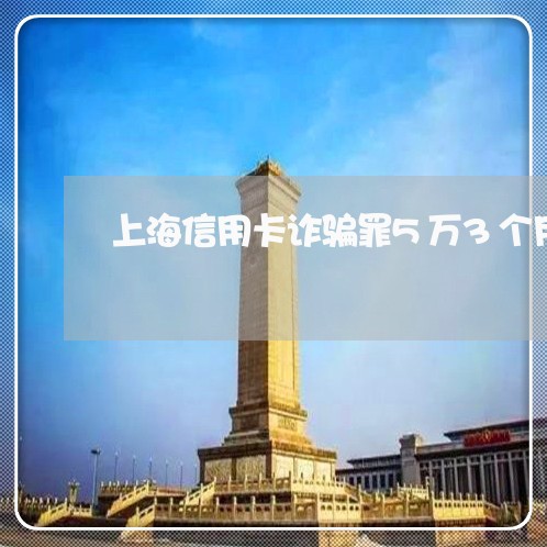 上海信用卡诈骗罪5万3个月/2023033042695
