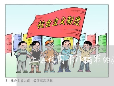 上海信用卡诈骗罪的漏罪/2023022748069 上海信用卡诈骗罪的漏罪/2023022748069